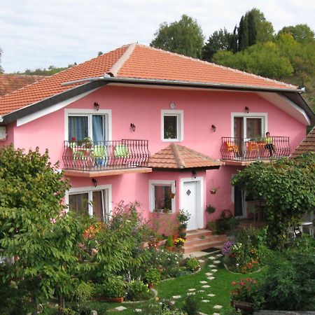 Biser Apartmani Vrdnik Exterior foto