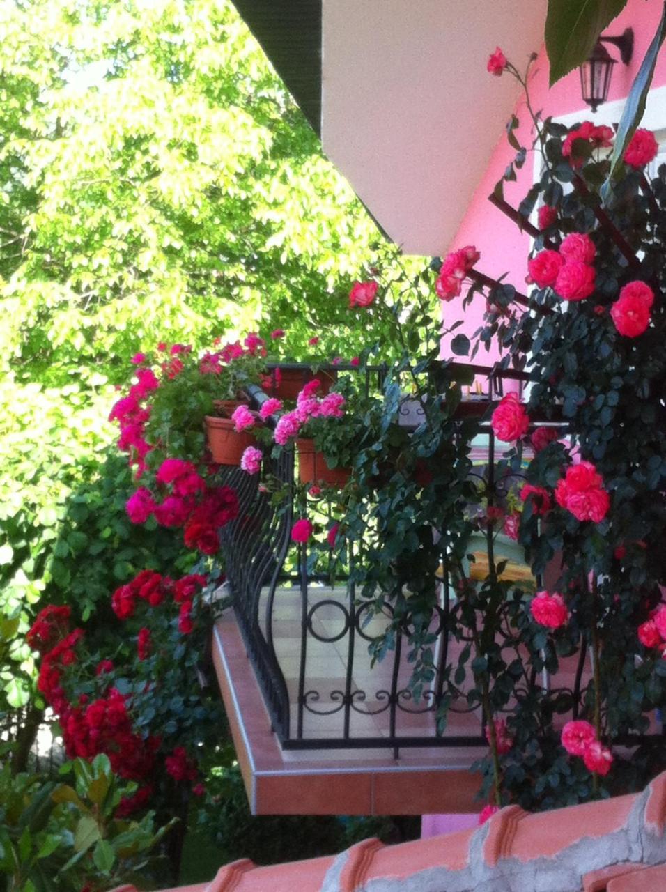 Biser Apartmani Vrdnik Exterior foto