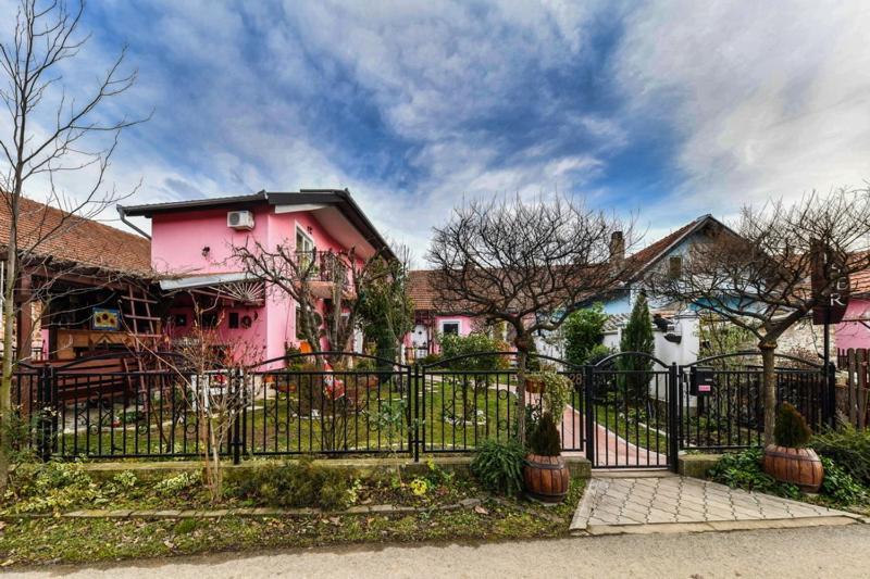 Biser Apartmani Vrdnik Exterior foto