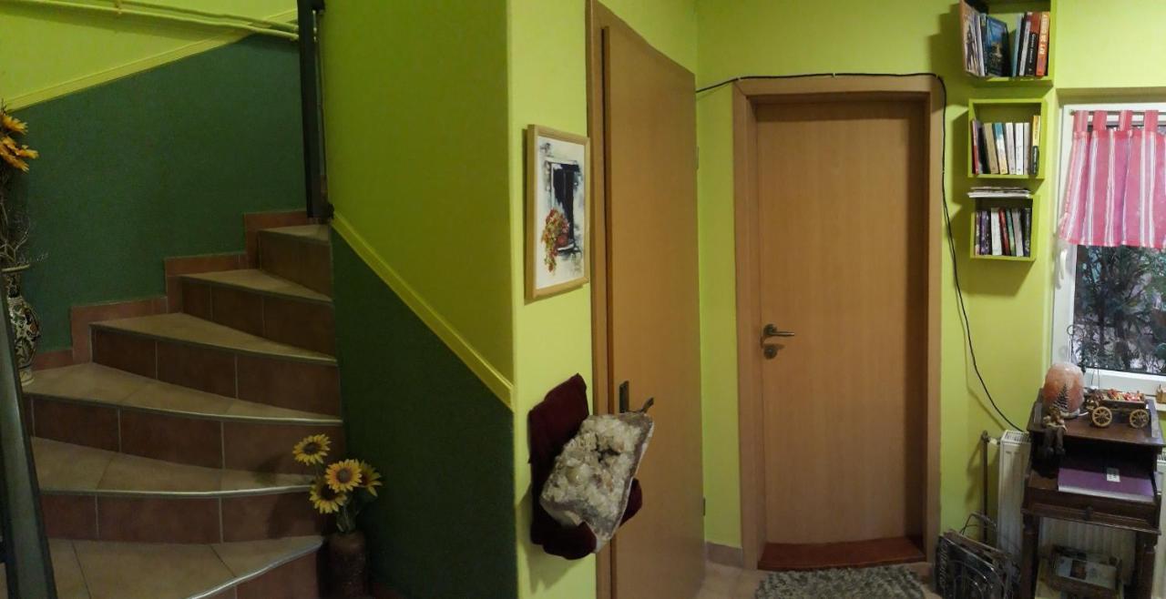 Biser Apartmani Vrdnik Exterior foto