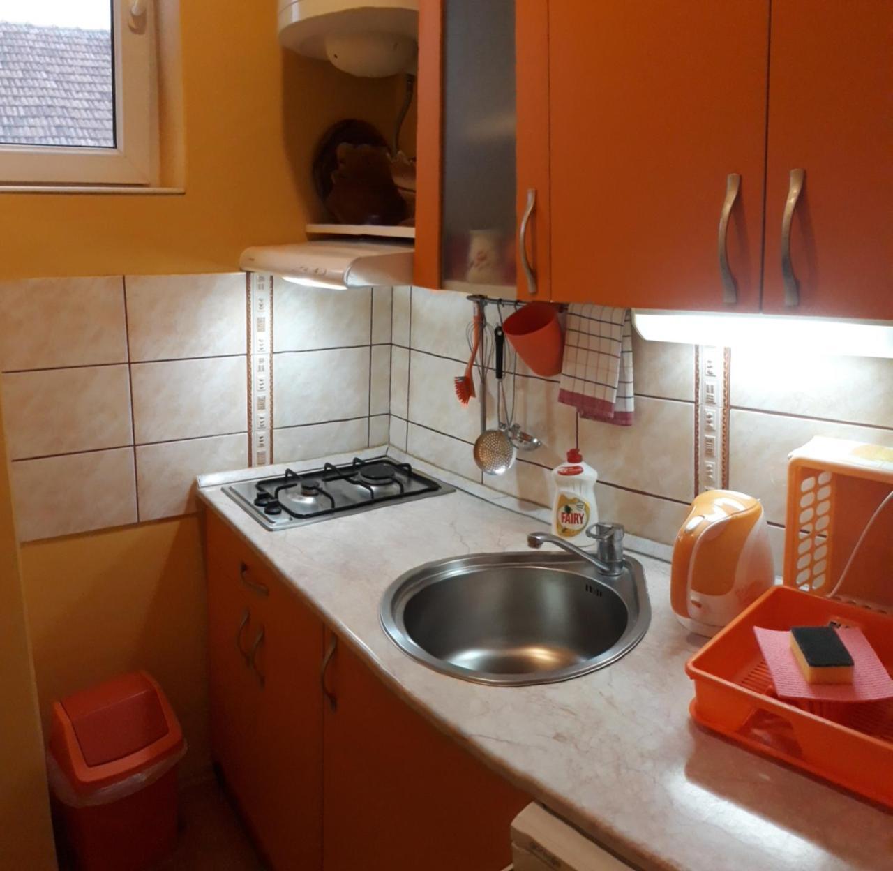 Biser Apartmani Vrdnik Exterior foto