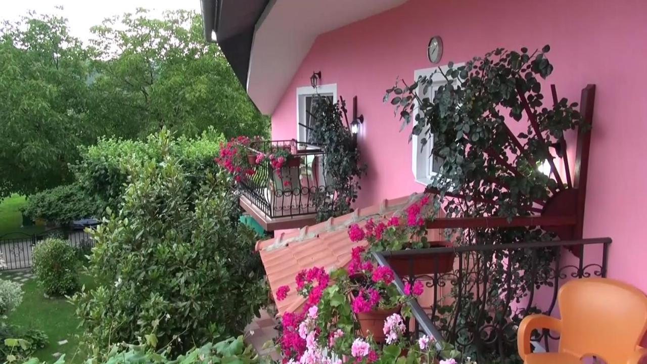 Biser Apartmani Vrdnik Exterior foto